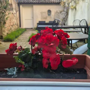 3* Bed & Breakfast 19 Borgo Cavour